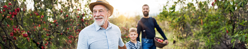 Three generations of a family, including a smiling elderly man in a hat, a young boy, and a middle-aged man with a basket of apples, enjoying a sunny day in an orchard.